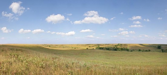Konza Prairie panorama. Photo by Henry Domke, www.henrydomke.com