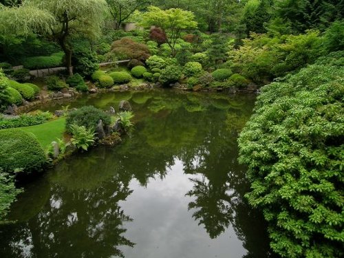 Strolling Pond Garden photo by Laura Davidson, courtesy of the Portland Japanese Garden