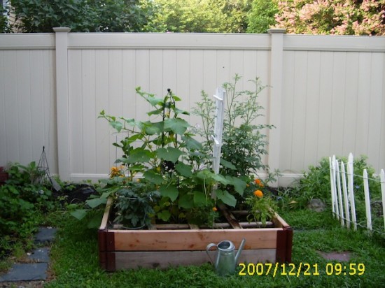Raised vegetable bed. Photo by Donna Helmes