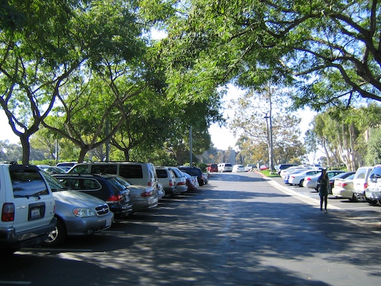 San Diego Hospice. A green, shady parking lot. Photo by Naomi Sachs