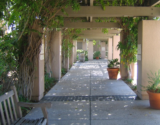 San Diego Hospice, pergola at entrance. Photo by Naomi Sachs