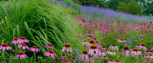 Chicago Botanic Garden. Photo by Allen Rokach, http://www.allenrokach.com/