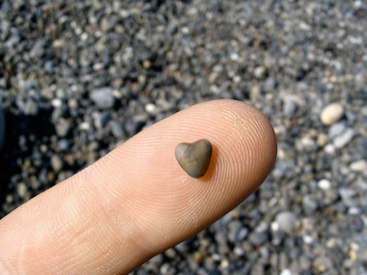 Image from http://www.slowfamilyonline.com/2012/02/hearts-in-nature-a-valentines-day-scavenger-hunt/
