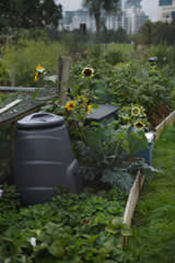 Charlie Hopkinson allotment garden UK